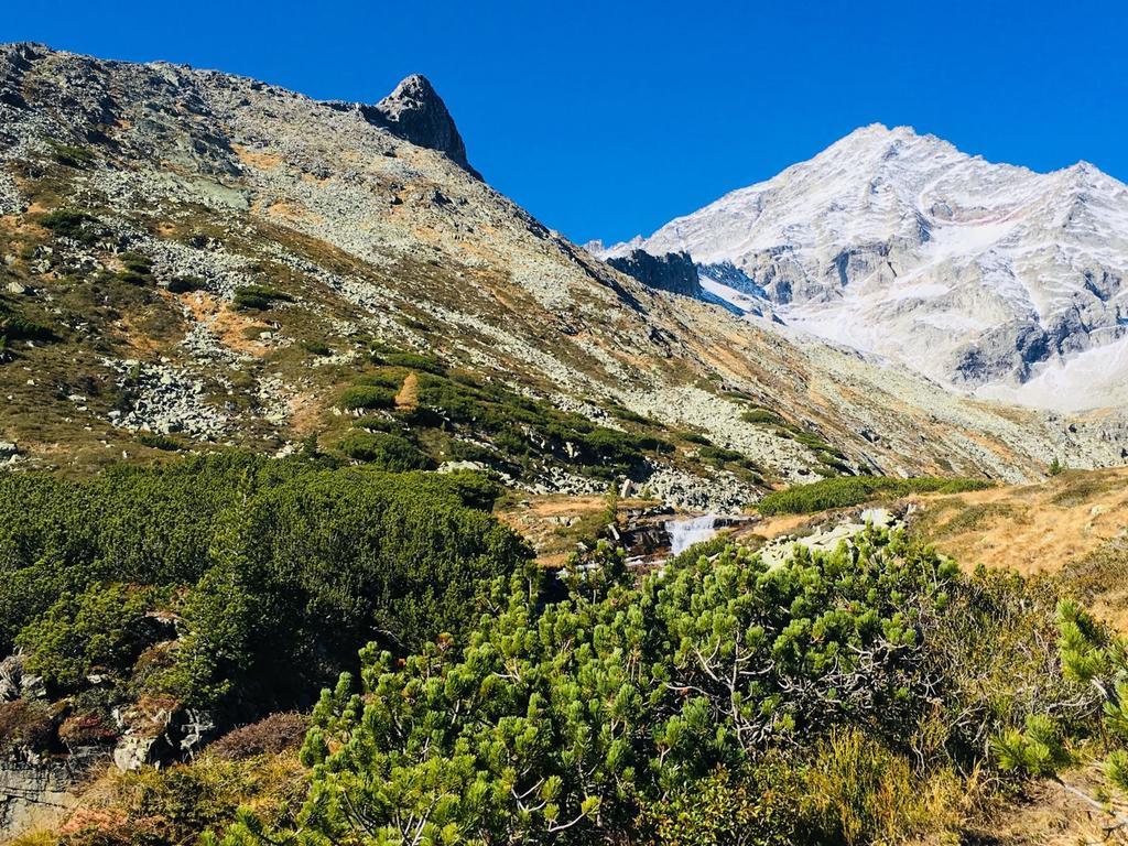 Appartements Alpenblick Финкенберг Екстериор снимка